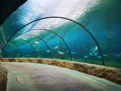 -珠海长隆海洋王国