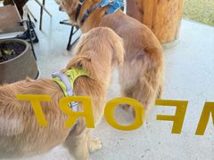 -omitofee咖啡(水泽店)