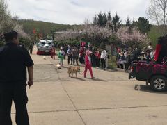 -哈尔滨北方森林动物园