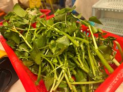 -小煵记·打边炉(西丽文光店)