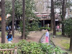 -林间山庄