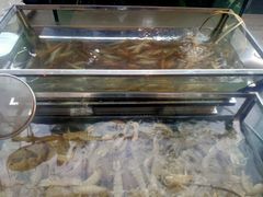 -漳州佰翔圆山酒店·圆山畔西餐厅