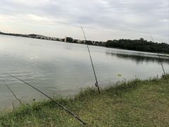-仙湖旅游度假区