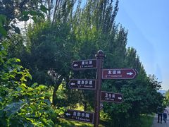 -乌素图国家森林公园