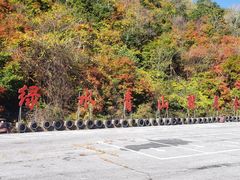 -天女山森林公园