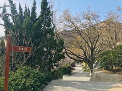 -石老人观光园