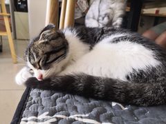 -平行世界·猫咖(首经贸店)