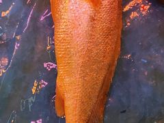 黄鱼-新荣记(新源南路店)