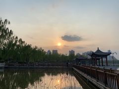 -莲花池公园