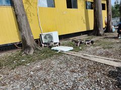 -前小桔亲子创意农场·草莓采摘·露营烧烤