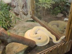 -上海大自然野生昆虫馆