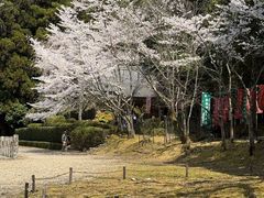 -醍醐寺