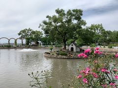-鹅湖玫瑰文化园