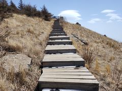 -白草畔自然风景区