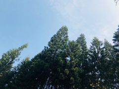 -四海公园(南山区)