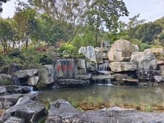 -东莞植物园
