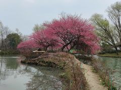 -西溪国家湿地公园