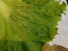 -京都蝎府羊蝎子火锅(珠市口店)