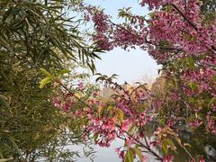 -九月海·海鲜自助(世纪东方店)
