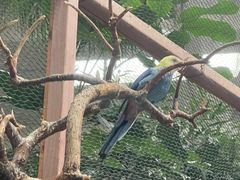 -南宫五洲植物乐园