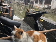 -唔呶喔哩酒家(生产街店)