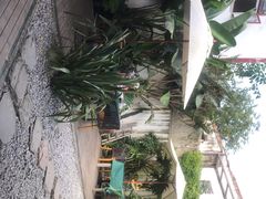 -云里小坐·小院里·团建·宴请·下午茶(三圣乡店)