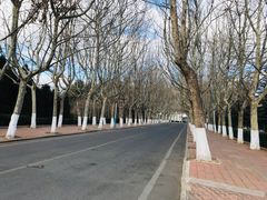-哈尔滨工业大学(威海校区)