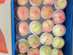 -老袁家蜜桃农场·阳山水蜜桃