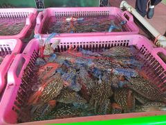 -众味海鲜大排档·活海鲜·潮汕味(南澳店)