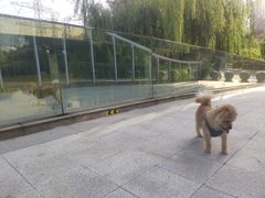 -九里河湿地公园