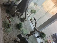 -中国第四纪冰川遗迹陈列馆