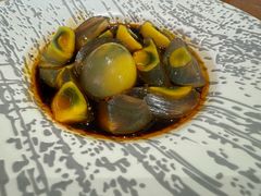 -靓蛙馆