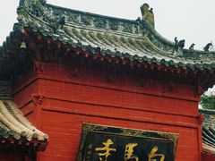-洛阳白马寺