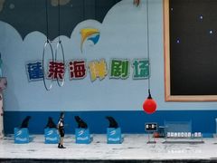 -蓬莱欧乐堡海洋极地世界