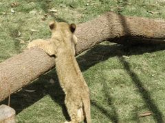 -南京金牛湖风景区