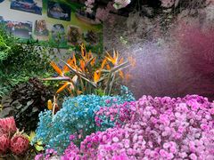 -双季花艺园艺市场(浦东店)