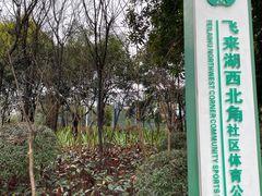 -飞来湖湿地公园