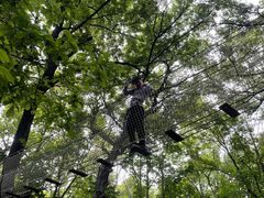 -WeLope紫金山探险公园