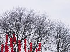 -丰都鬼城名山景区