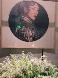 -盘子女人坊生日照·摄影馆(浦东店)