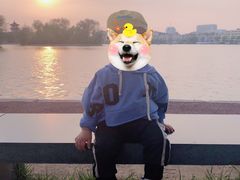 -莱西月湖公园
