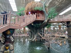 -南宫五洲植物乐园