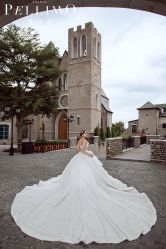 -派丽莫Pellimo原创设计婚纱品牌