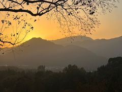 -塔川景区