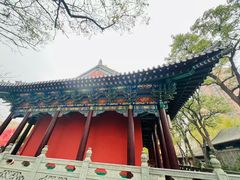 -护国法轮寺