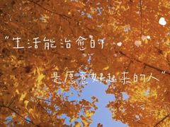 -琴岛之星摩天轮