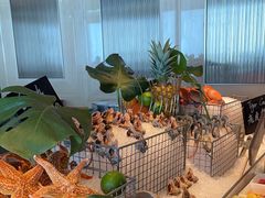 -Social 秀西餐厅-长沙瑞吉酒店(运达店)