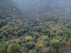 -桃花岛风景旅游区