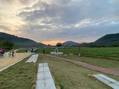 -风云岭森林公园