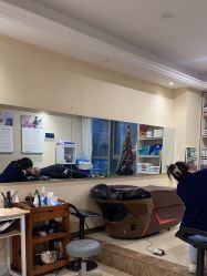 -碧莲盛·不剃发植发